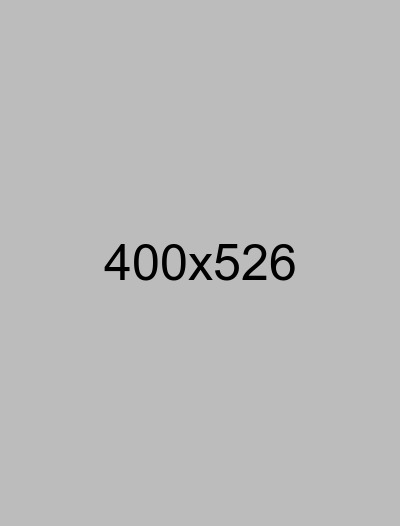 single blog